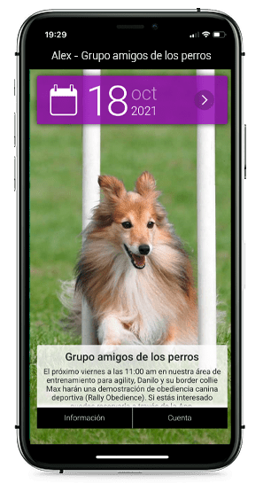 Bookyway app backgrounds