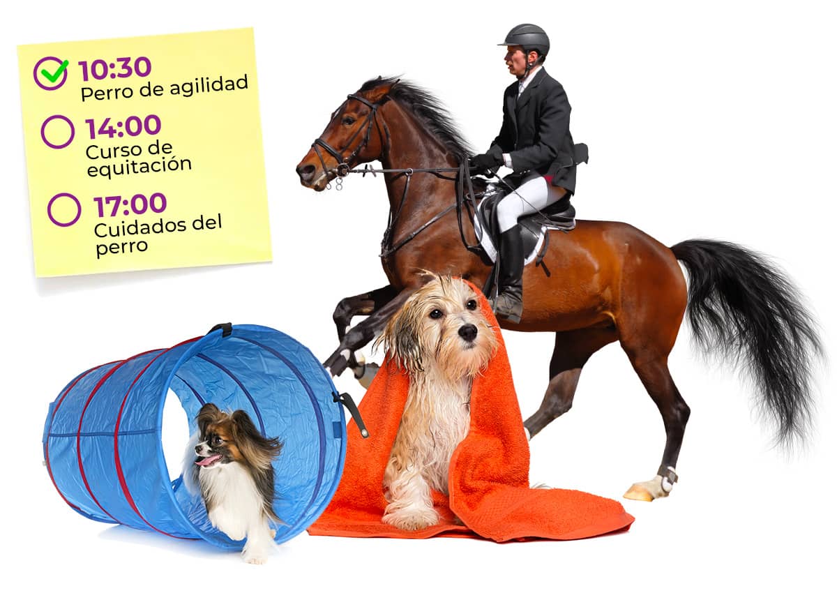 Bookyway per lo sport