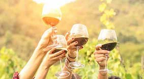 Gite enogastronomiche