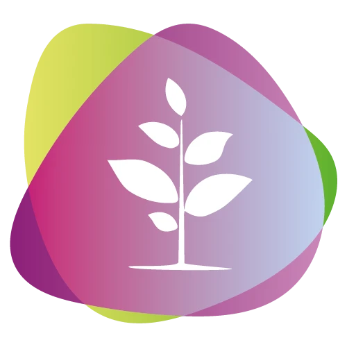 Icona Evoluzione Bookyway